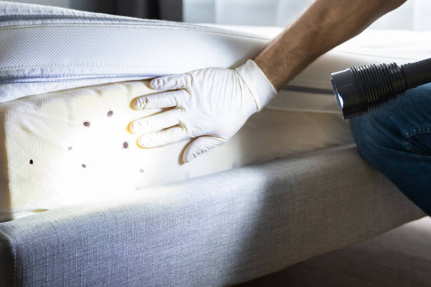 Reliable Louisville, NE Pest Control Solutions