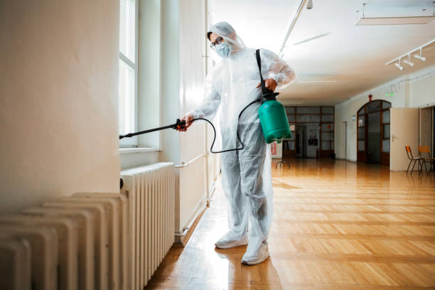 Best Flea Control Services  in Louisville, NE